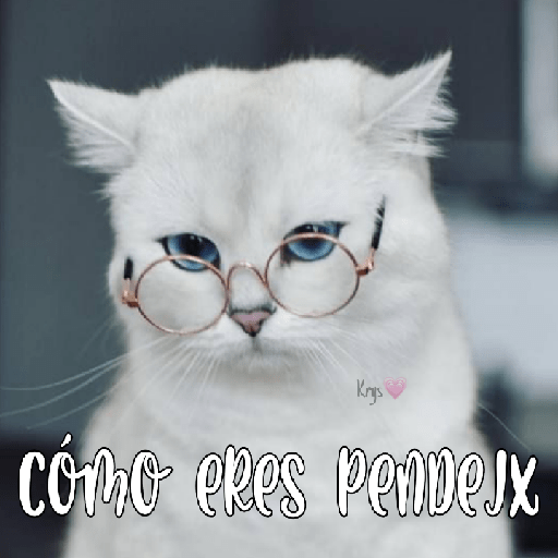 Gatitos 😽💜 5
