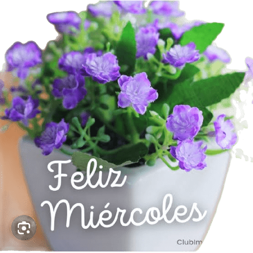 Feliz miercoles 21