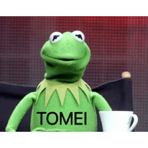 Kermit o Sapo 29