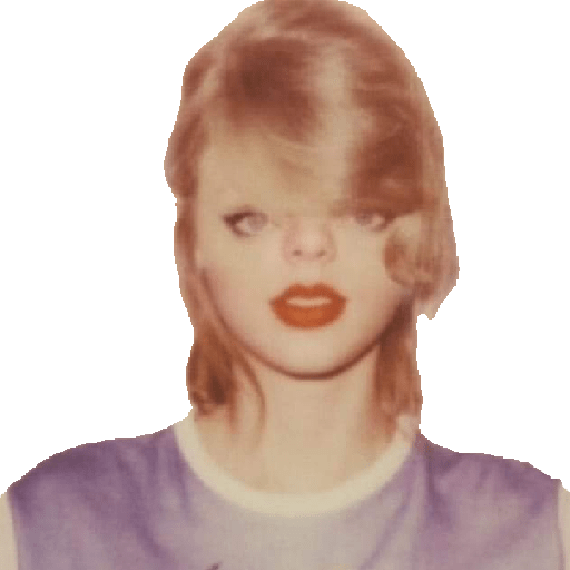 Taylor Swift Memes 21