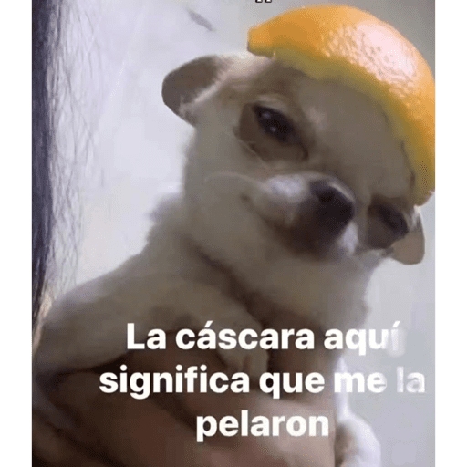 Jsjsjsjs xd 20