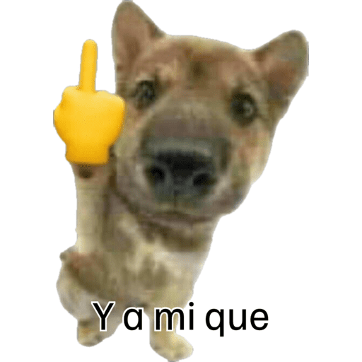 Shitpost Cuaad  12