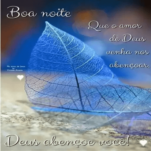 Boa noite 29 8