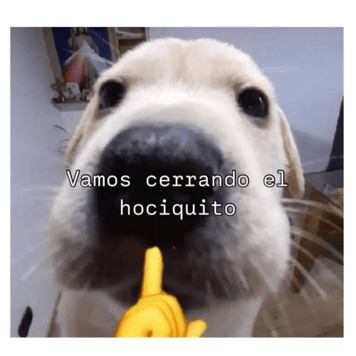 Jsjsjsjs xd 12