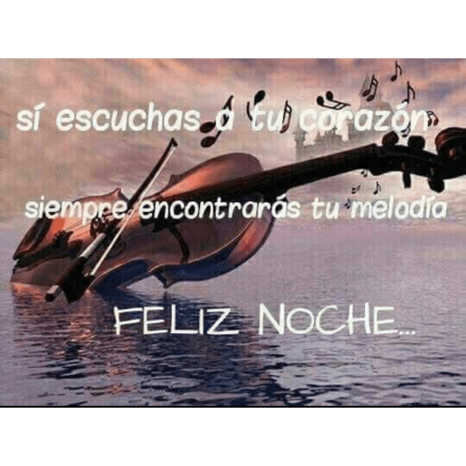 Feliz noche 6