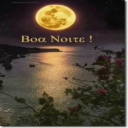 Boa noite 29 2