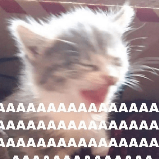 Uwu 4