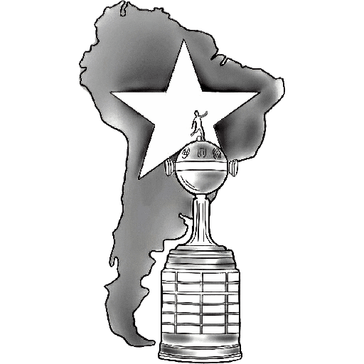 BOTAFOGO 3 11