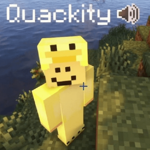 Quackity  14
