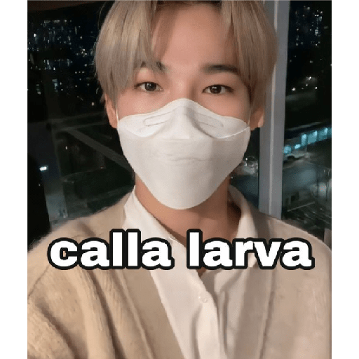Kpop 12