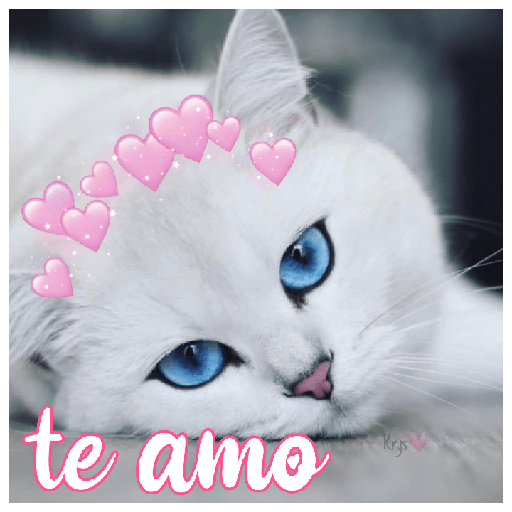 Gatitos 😽💜 7