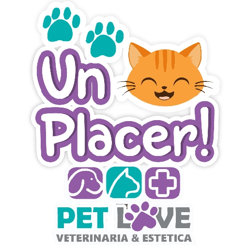 PET LOVE FRASES 25