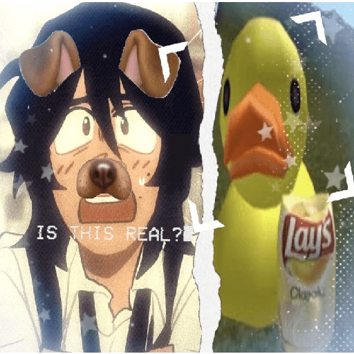 Quackity  7