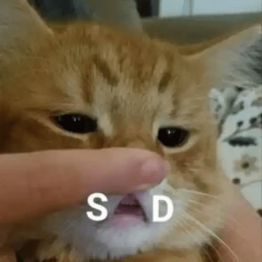 😾🐈 Gatitos 😹🐈 3