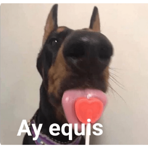 Uwu 11