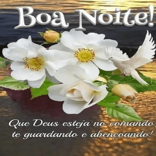 Boa noite 29 4