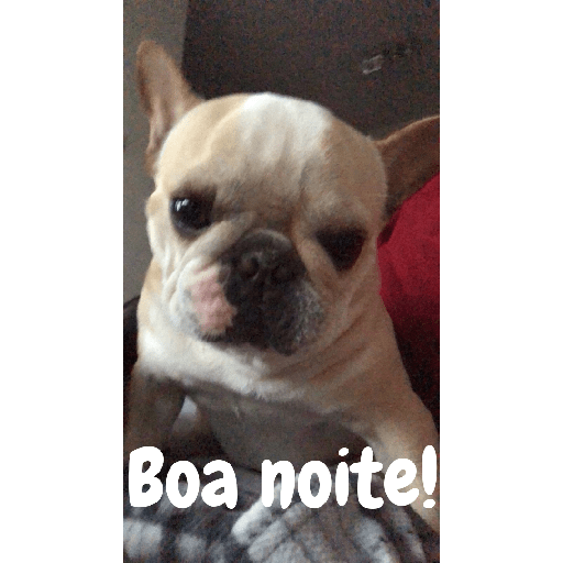 Boa noite 39 12