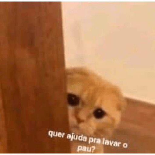 Flerte 4
