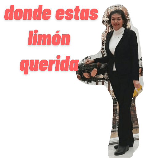 Anonimus 13