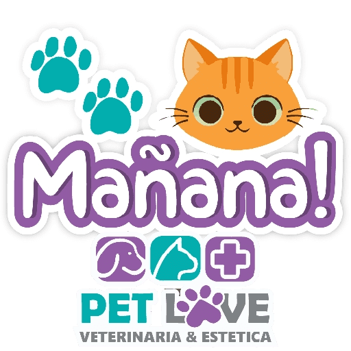 PET LOVE FRASES 22