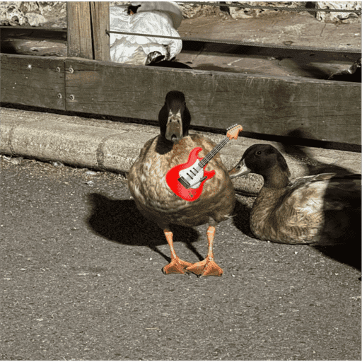 Patos  7