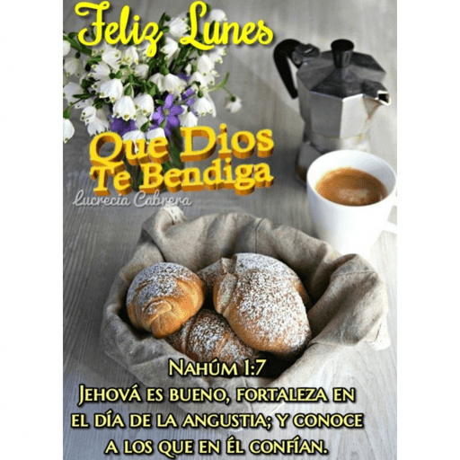 Lunes 28