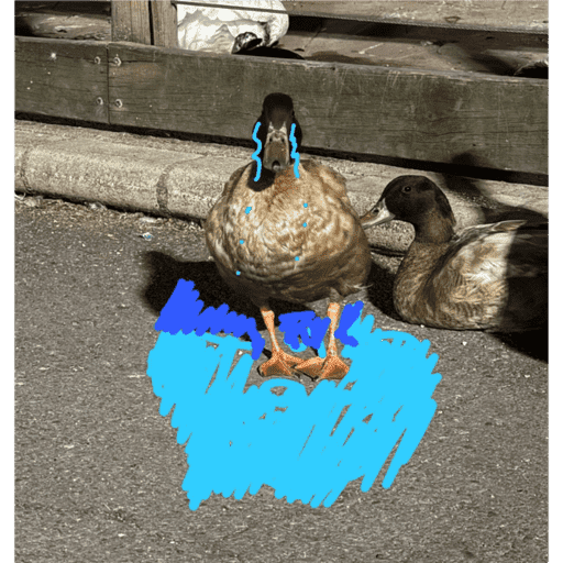 Patos  12