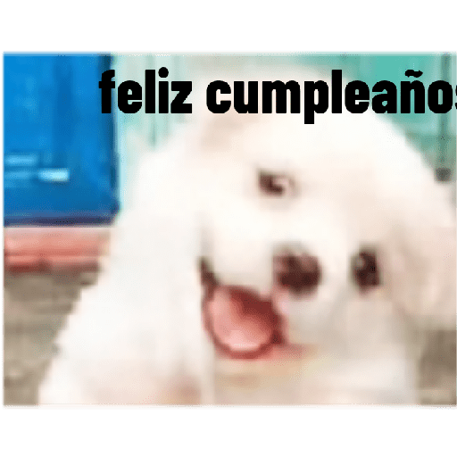 Perros graciosos 3 4