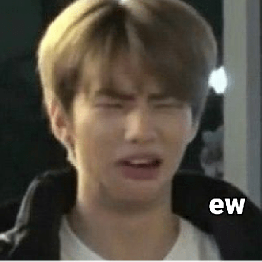 Straykids 13