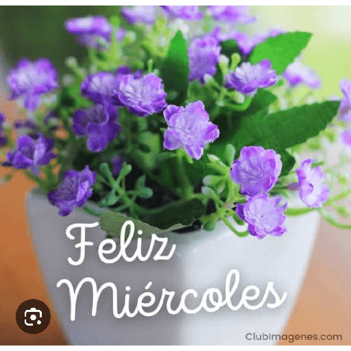 Feliz miercoles 19