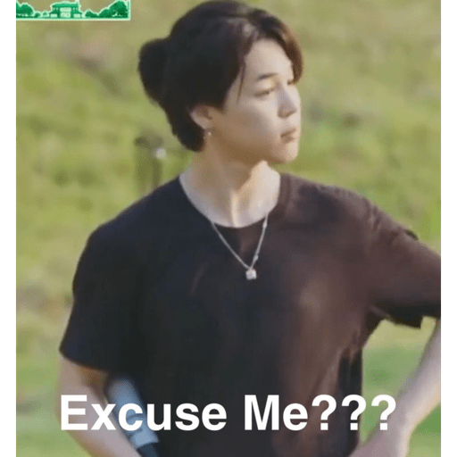 Meme bts 🐱 25