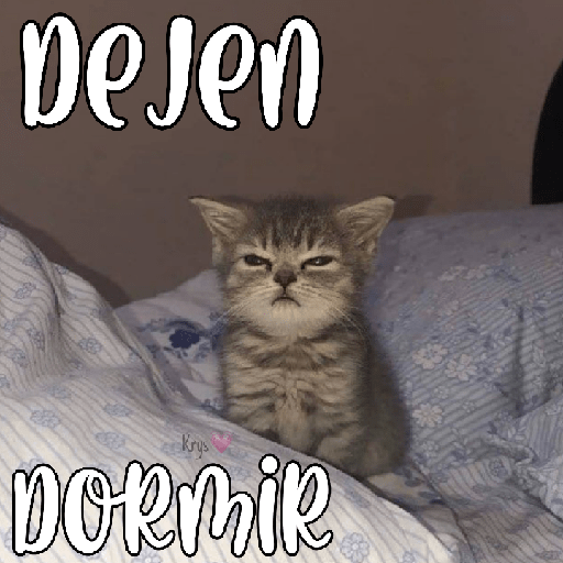 Gatitos 😽💜 13