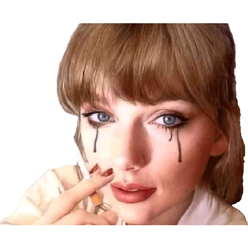 Taylor Swift Memes 19