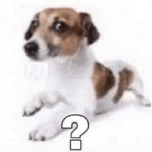 ⠀⠀⠀ 21
