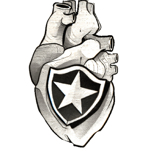 BOTAFOGO 3 8