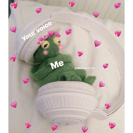 Kermit o Sapo 5