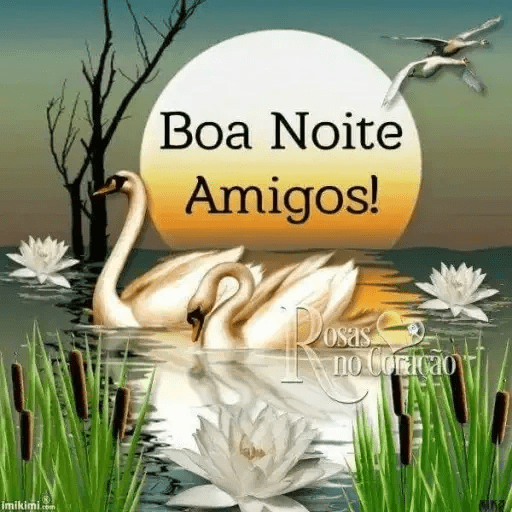 Boa noite 29 12