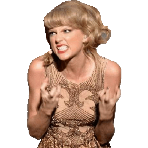 Taylor Swift Memes 27