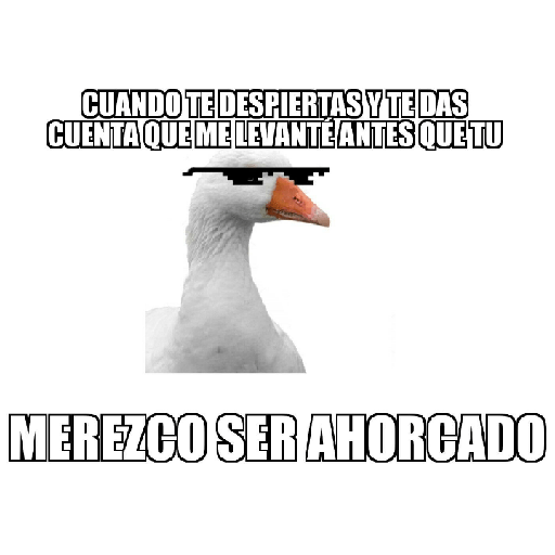 Que hago te aplaudo? 15
