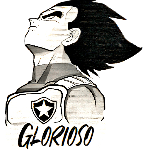 BOTAFOGO 3 7