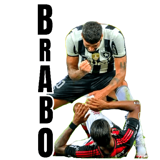 BOTAFOGO 3 16