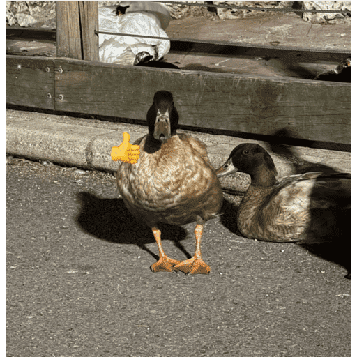 Patos  4