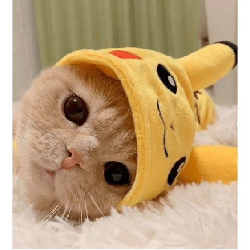 Pikachu nap
