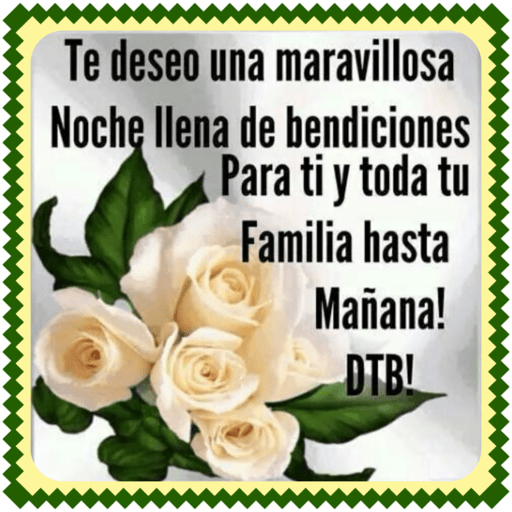 Feliz noche 2