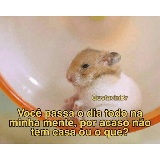 Flerte 15