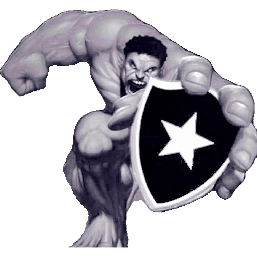 BOTAFOGO 3 4