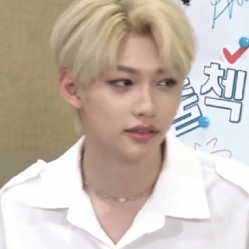Straykids 17