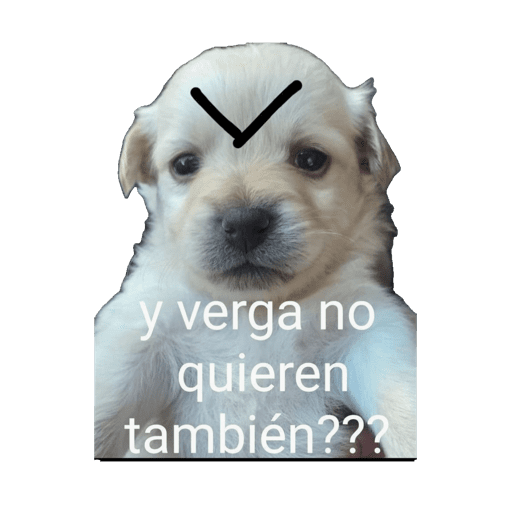 Jsjsjsjs xd 11