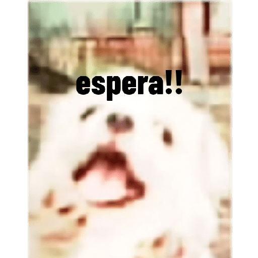 Perros graciosos 3 3