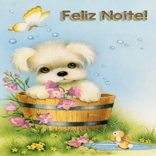 Boa noite 29 16